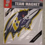 Raven's Single Bird Head Magnet