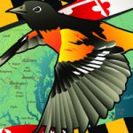 Maryland - Oriole House Flag