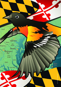 Maryland - Oriole House Flag