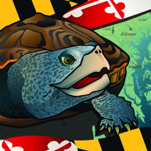 Maryland -Terrapin House Flag