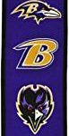 Baltimore RavensHeritage Banner