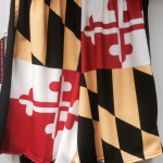 Maryland State Flag Shorts