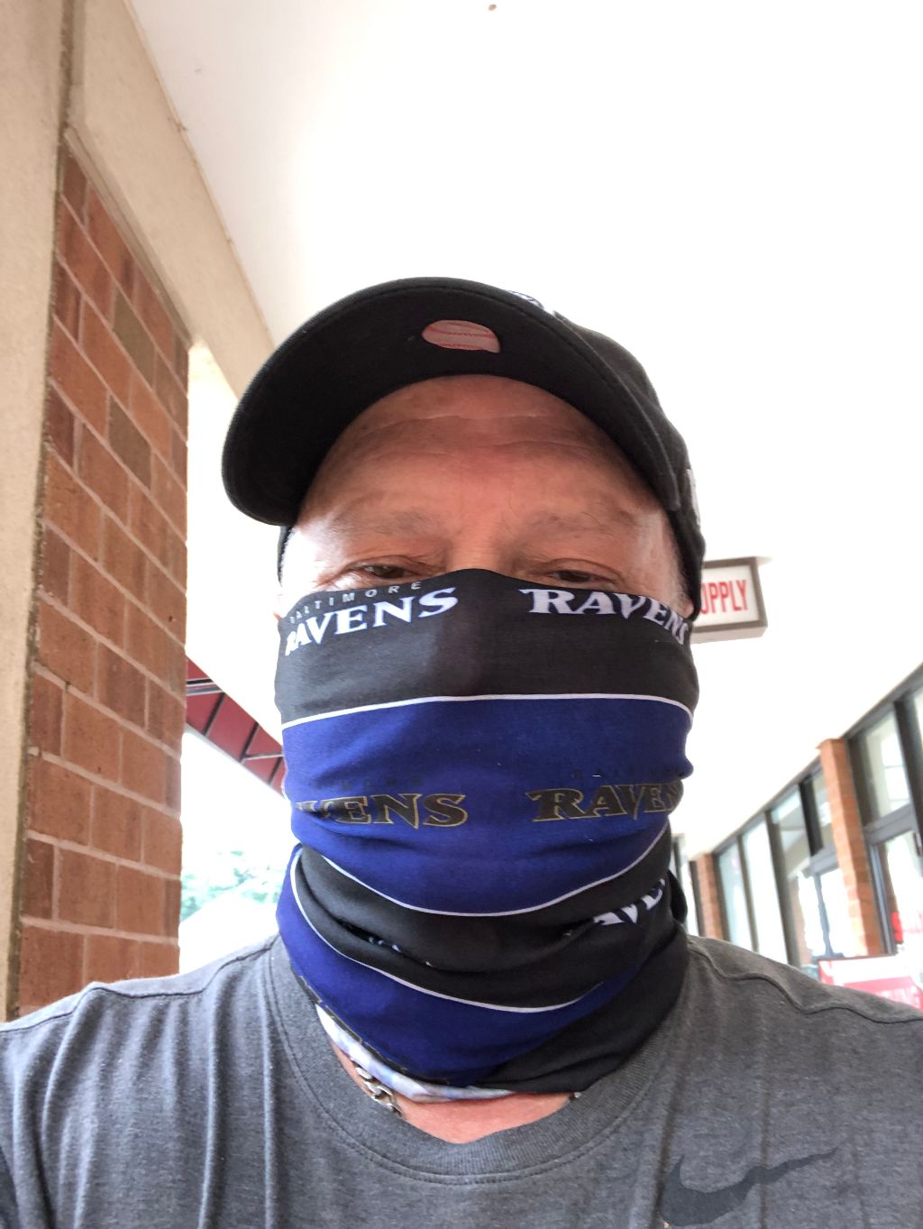 Baltimore Ravens Neck Gaiter